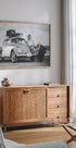 Beetle Backpacker Plakat - Posterbox.dk