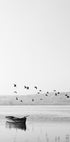Birds Over Lake Plakat - Posterbox.dk