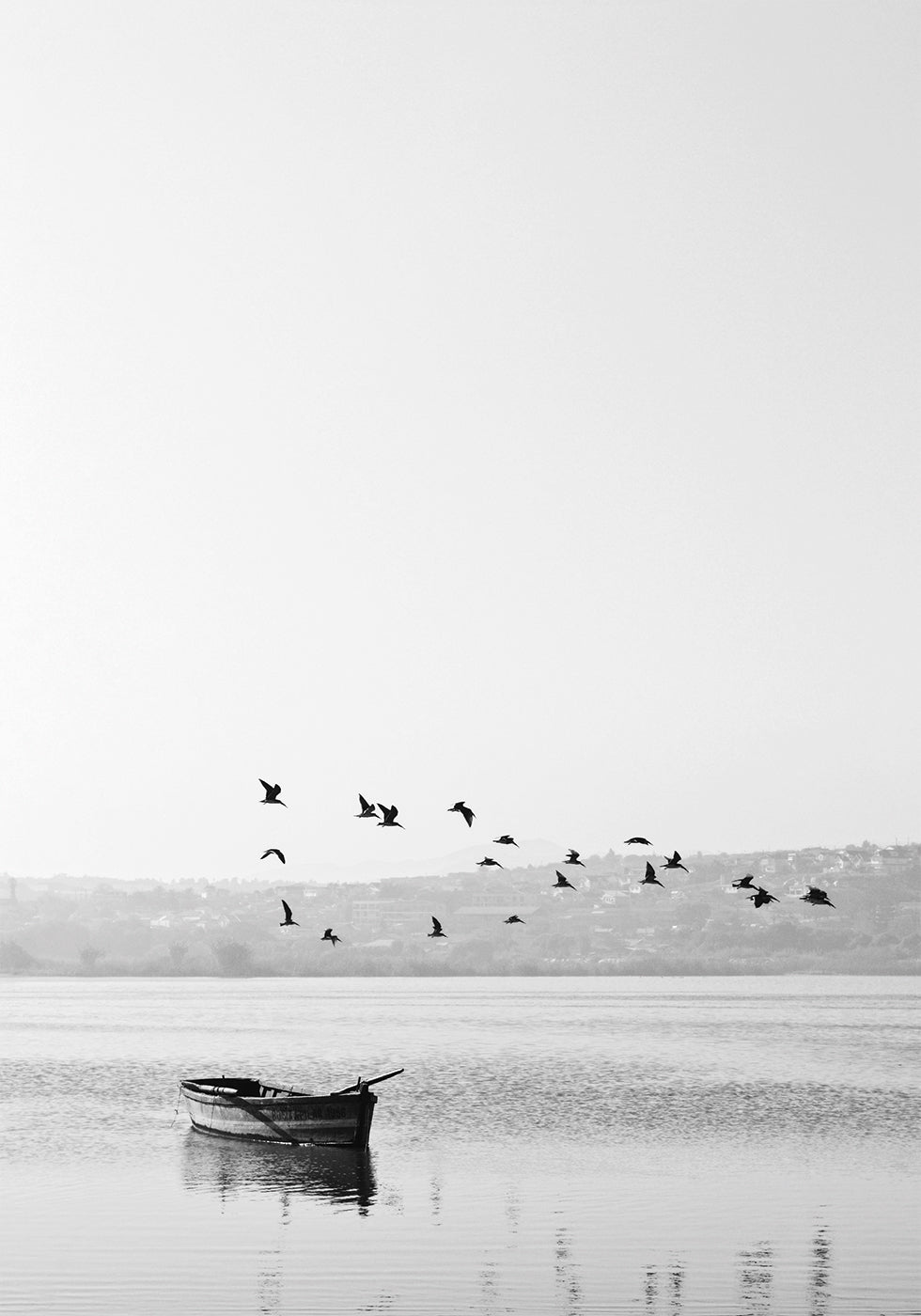 Birds Over Lake Plakat - Posterbox.dk