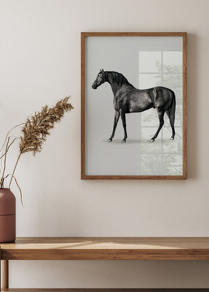 Póster con dibujo de caballo negro