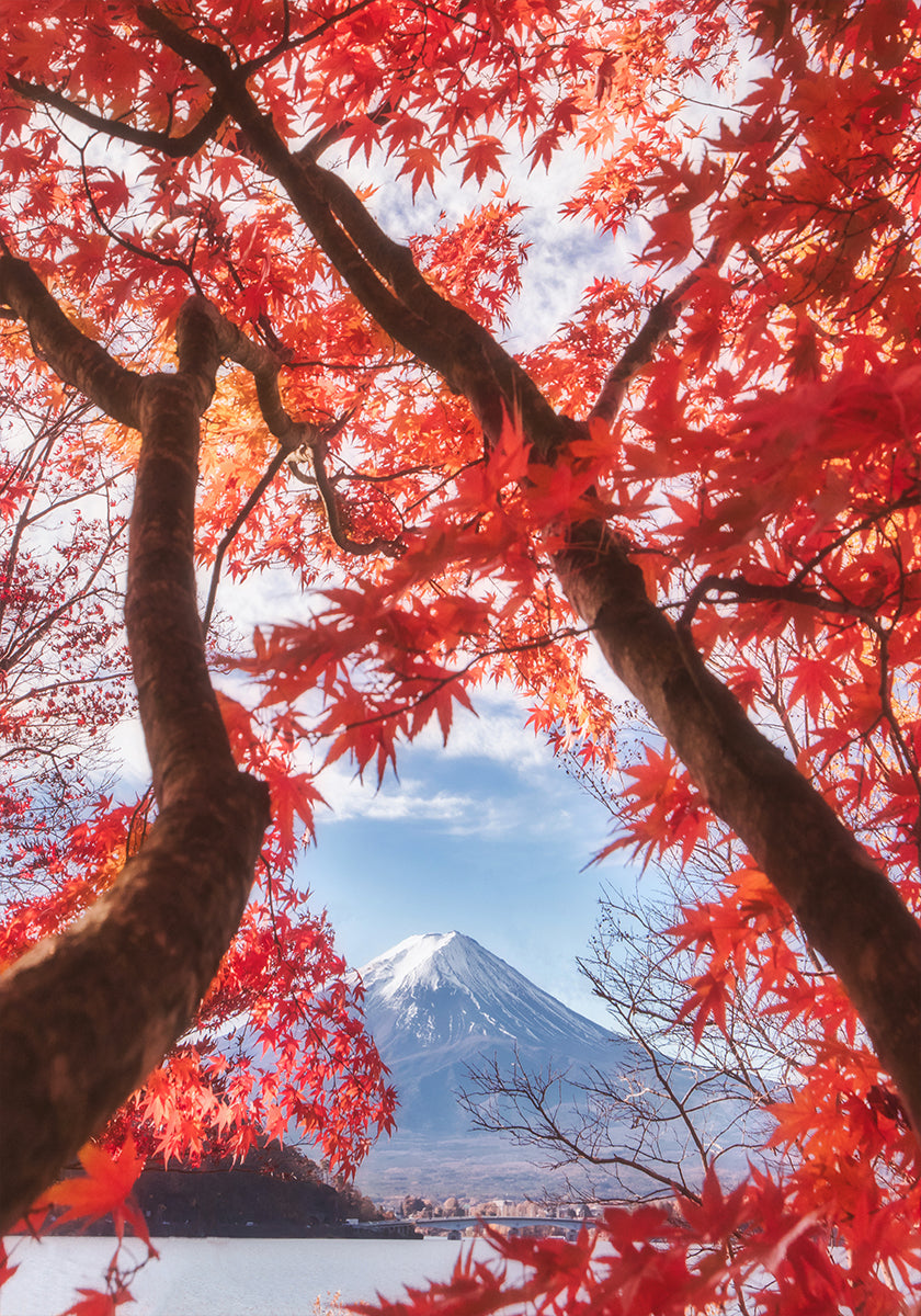 El monte Fuji está en las hojas de otoño Póster
