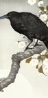 Crow And Full Moon By Ohara Koson Plakat - Posterbox.dk