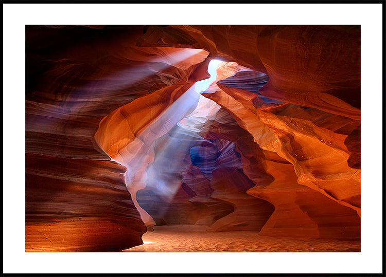 Puro Photodelight 2 Póster