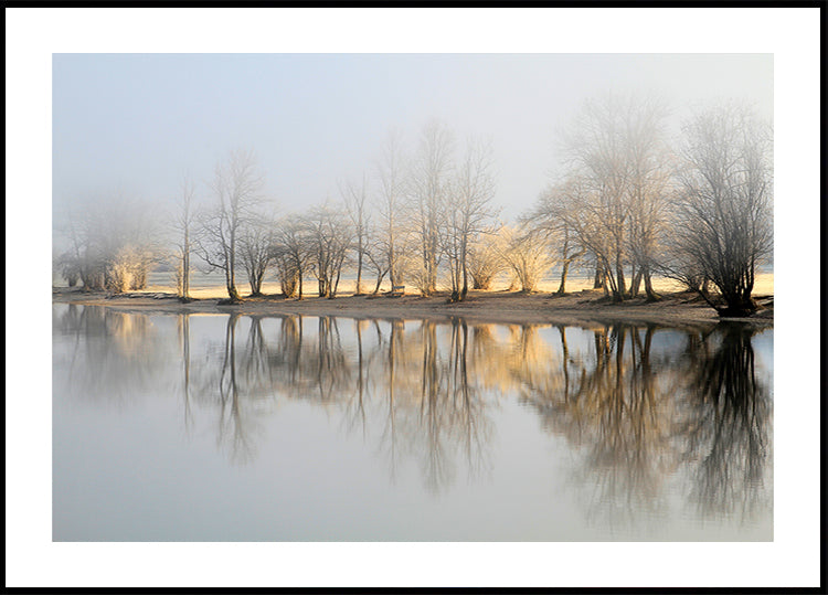 Mañana de enero Póster