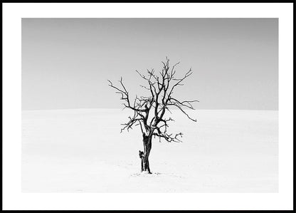 Cartel de árbol seco en la nieve 