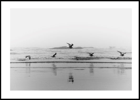 Póster de pájaros volando sobre la costa 