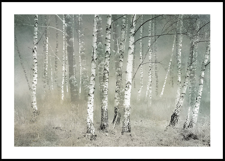 Silencio de la mañana Póster