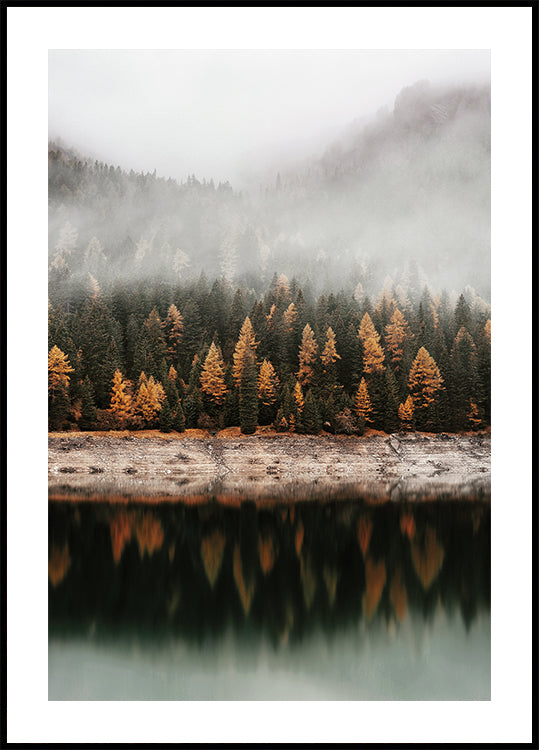 Póster Reflejos de otoño en un bosque brumoso