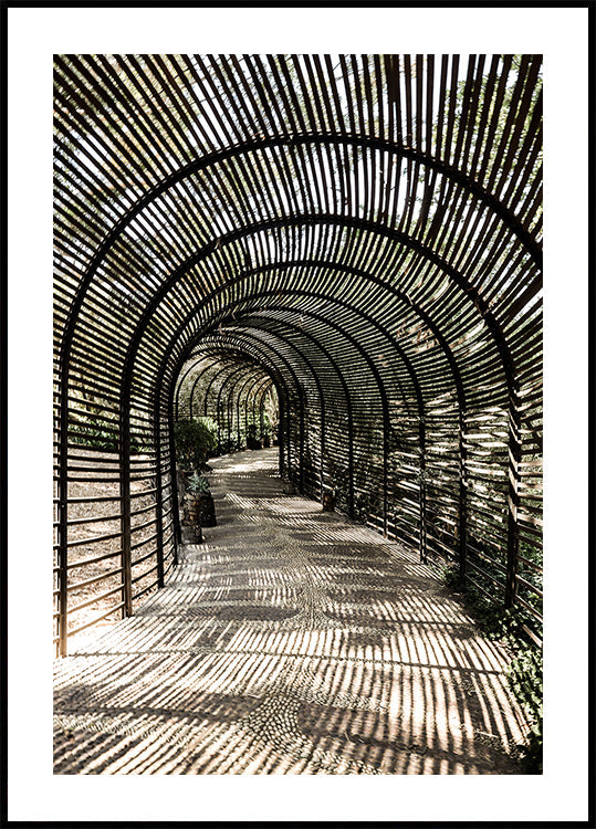 Jardín de sombras Póster