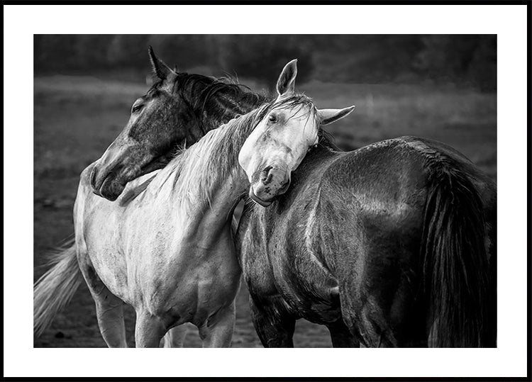 Póster Lluvia cálida