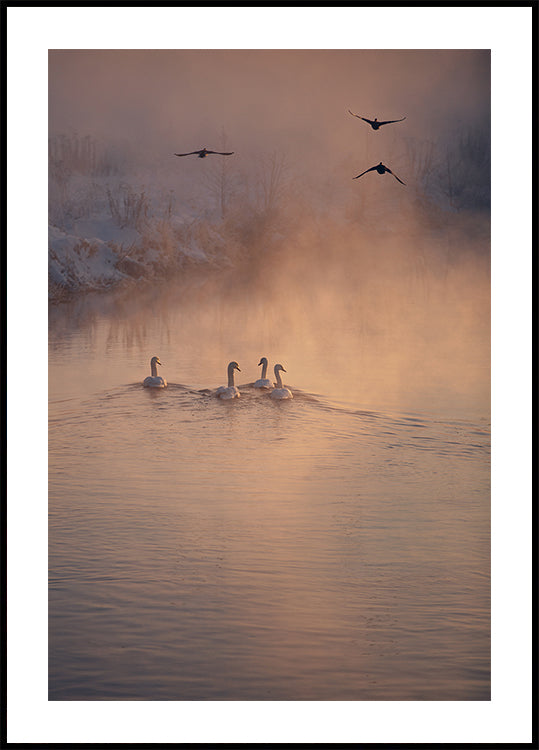 Donde no llegó la niebla Póster