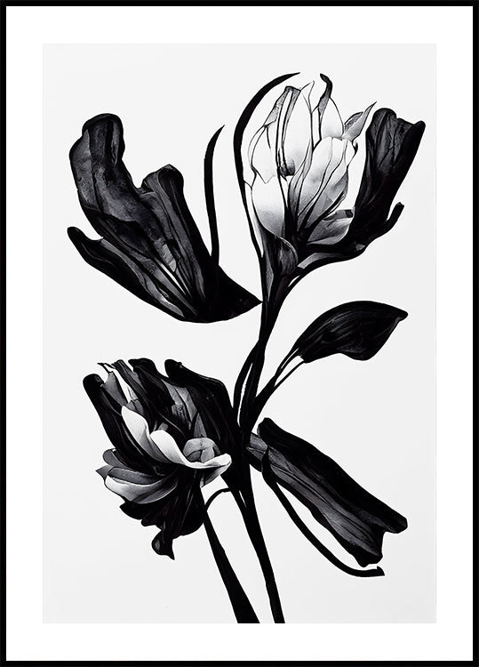 flor negra