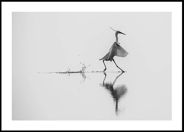 "Bailando en el agua" Póster