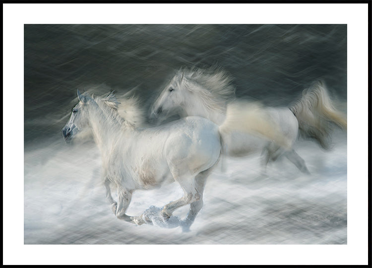 galopar en un duelo Póster