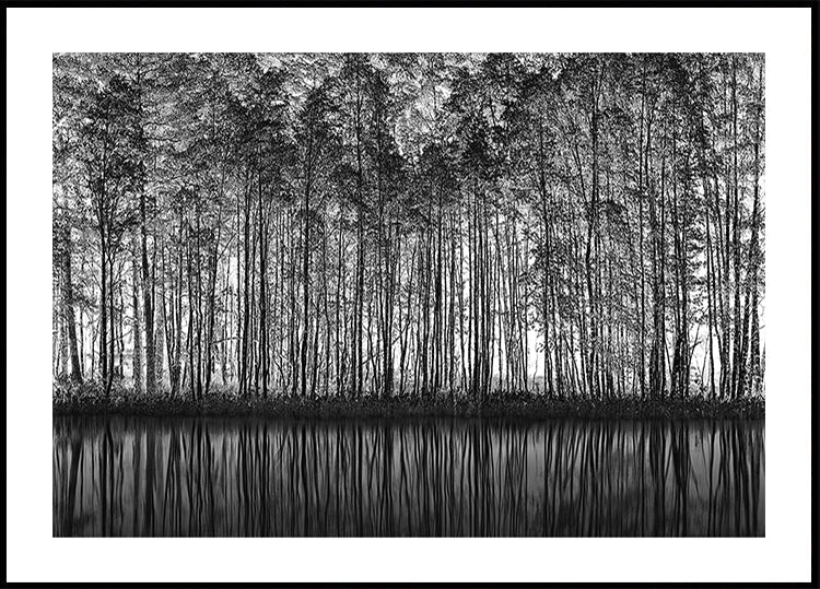 Puntillismo Naturaleza