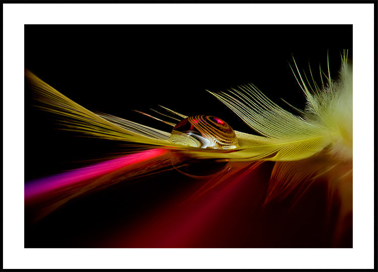 Colores en la gota