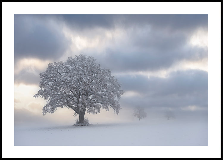 Mañana fría Póster