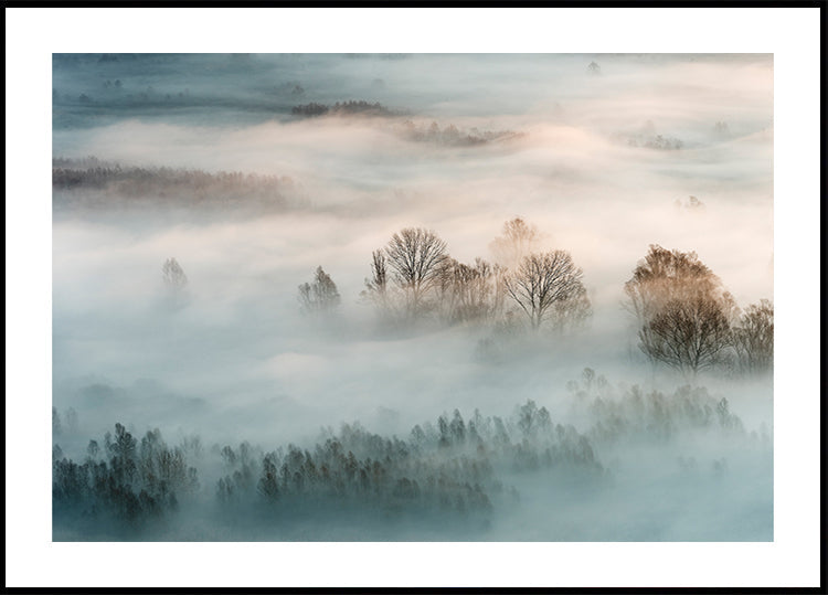 Póster Niebla de invierno