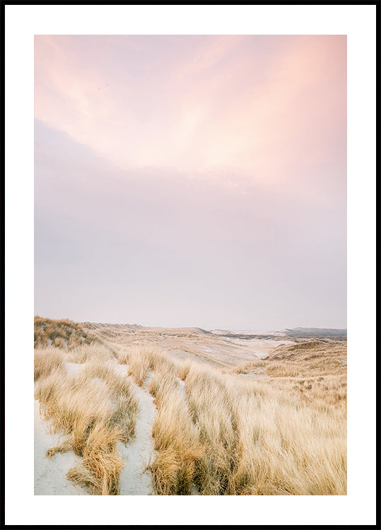 Dunas de Ameland 1 (NUEVO)