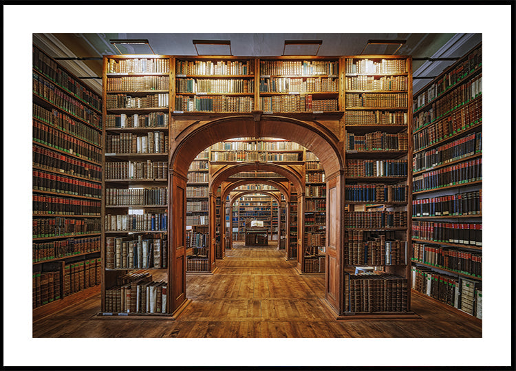 Biblioteca de Ciencias de la Alta Lausitzia Póster