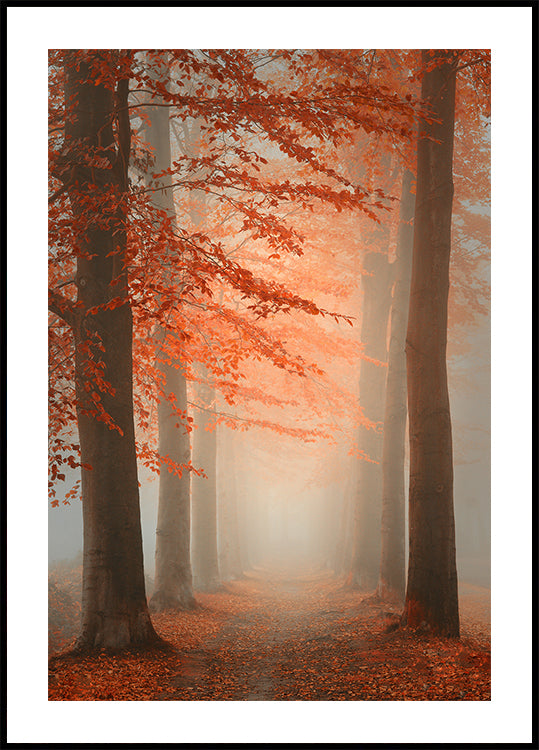 Sueño de otoño Póster