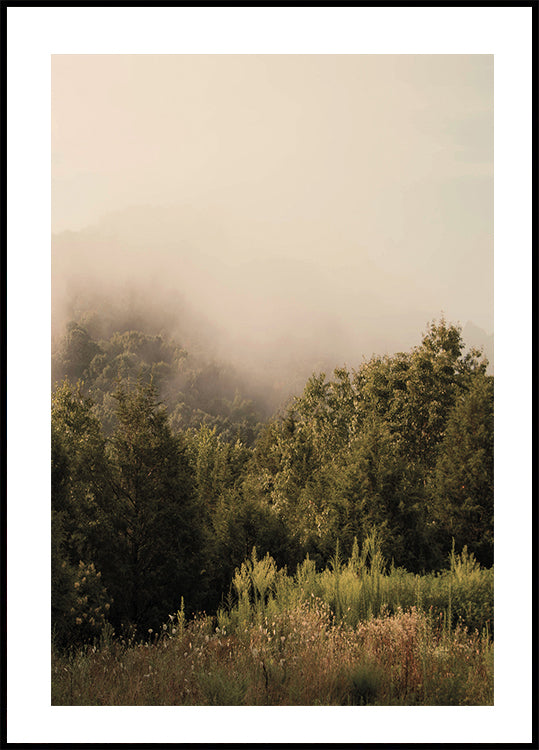 Foggy Forest Plakat - Posterbox.dk