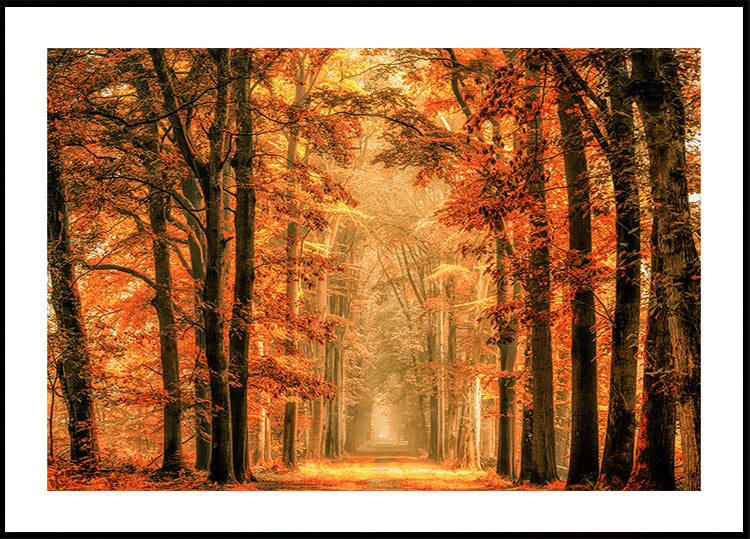 Salir del portal Póster