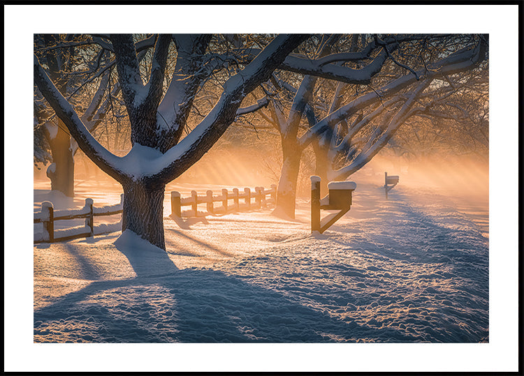Después de la tormenta de nieve Póster