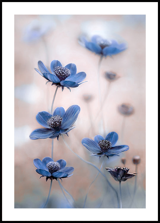 azul cosmos