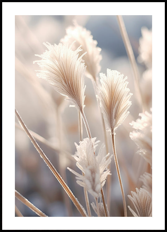 Elegancia helada Póster