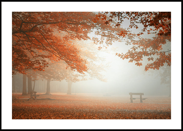 Las maravillas de la naturaleza Póster