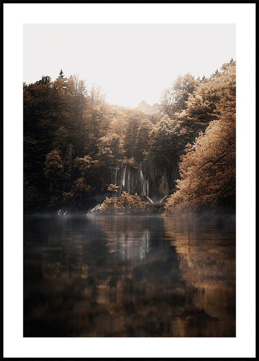 Póster Amanecer en el bosque brumoso con reflejos 