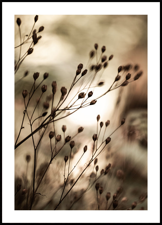 Luces de otoño