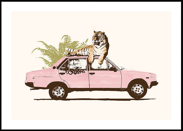tigre en coche