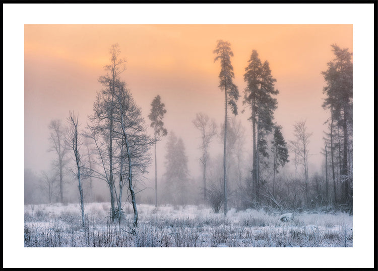 Mañana helada Póster