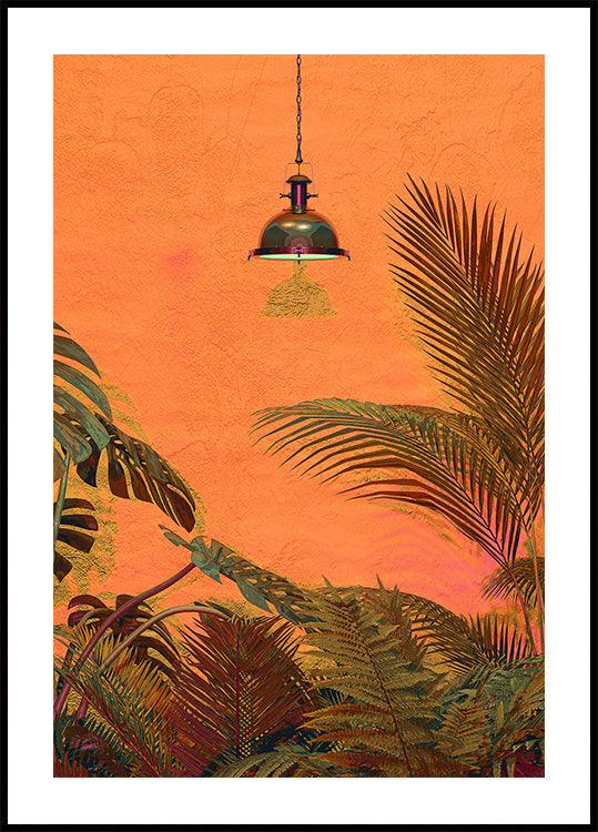 MURO ​​TROPICAL
