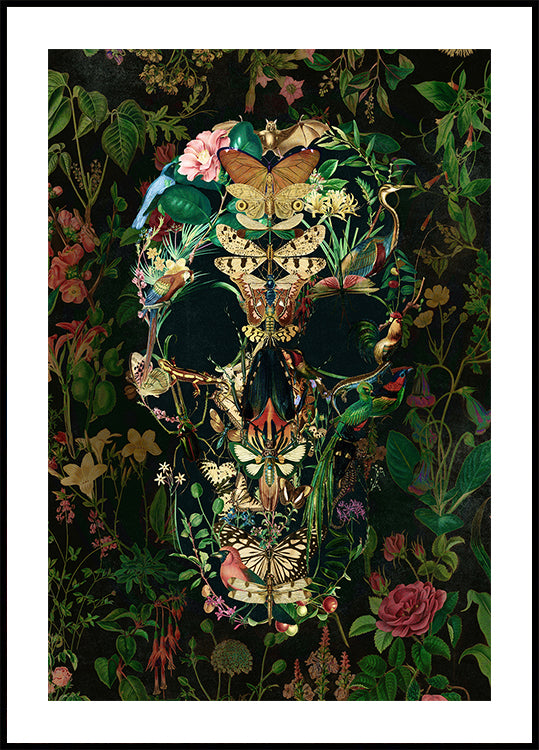 Cráneo de Papillon Póster
