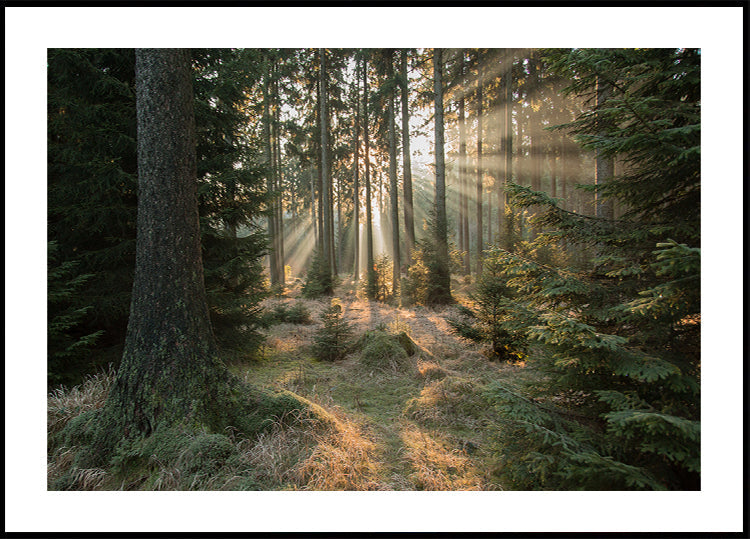 Rayos, Parte 2 Póster