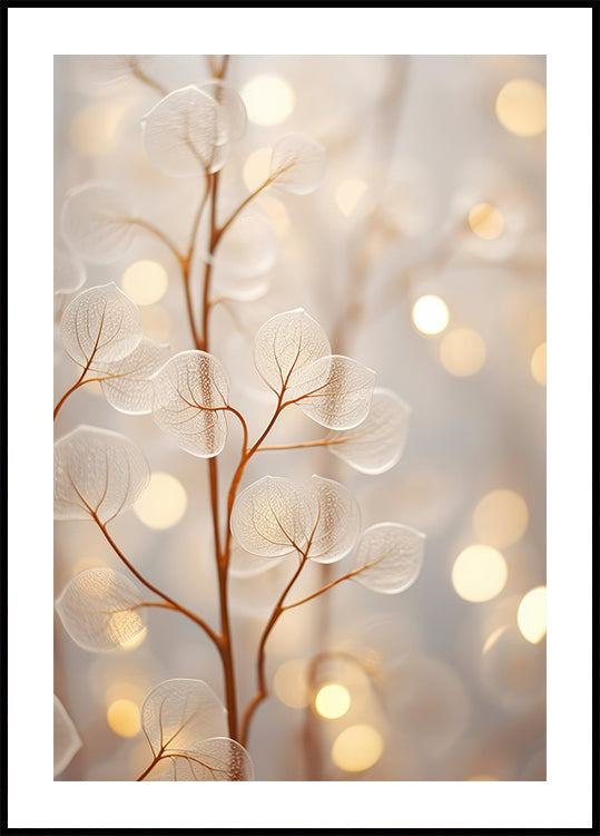 Resplandor etéreo Póster