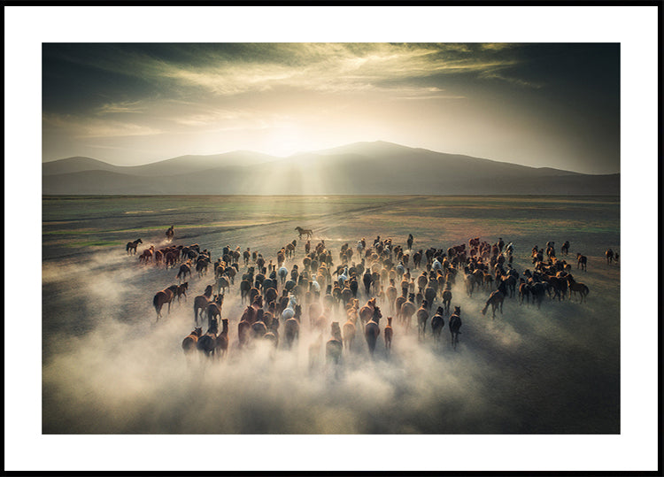 Póster Caballos salvajes