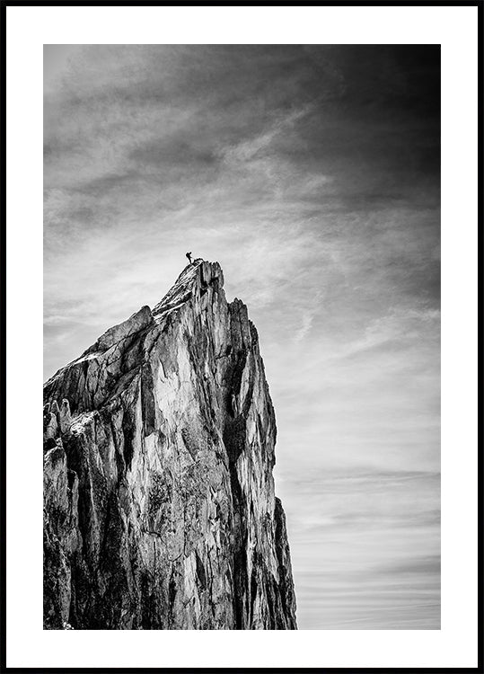 Equilibrio entre la Tierra y el Cielo Póster