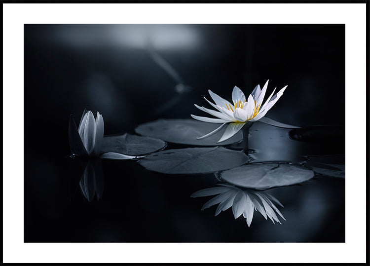 Póster Reflexión
