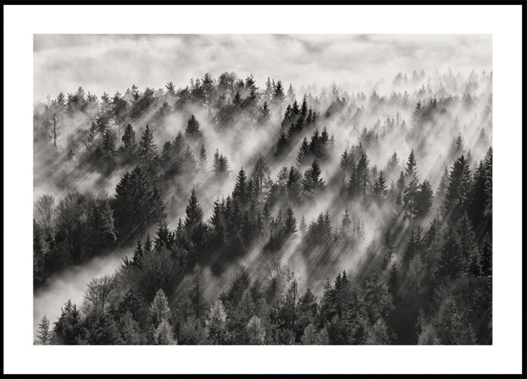 Sundance No.1 Póster