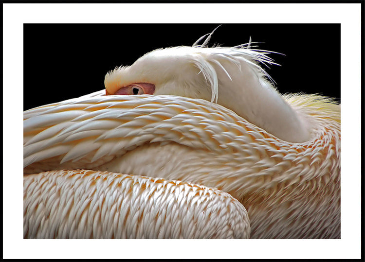 Estar medio dormido...