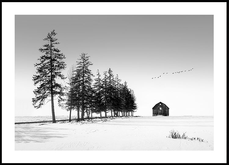 Un día soleado de invierno Póster