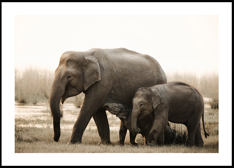 retrato de familia Póster