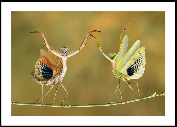 Tiempo de la funcion