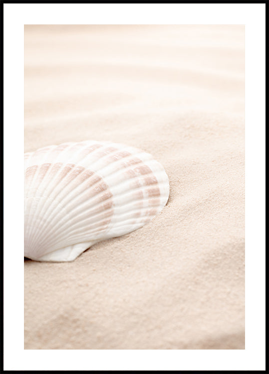 Póster Shell_3