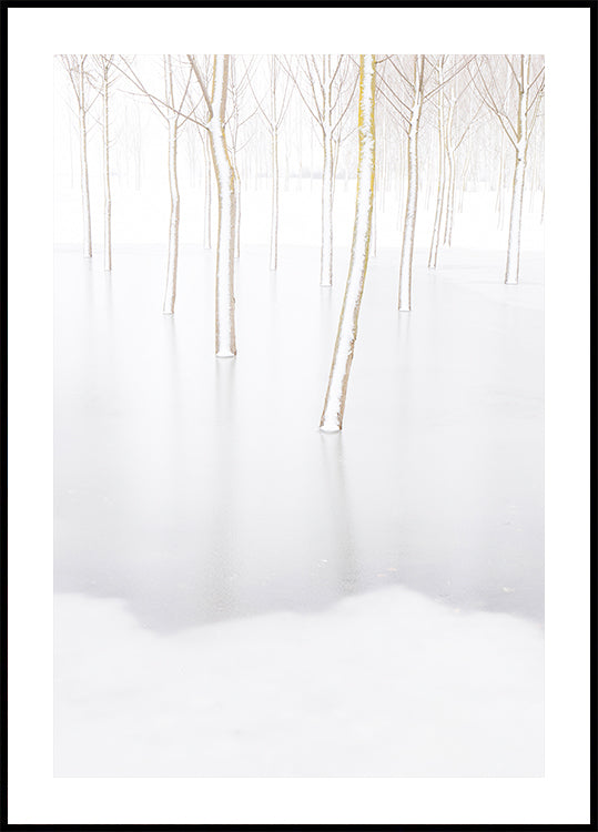 Reflexión de invierno Póster