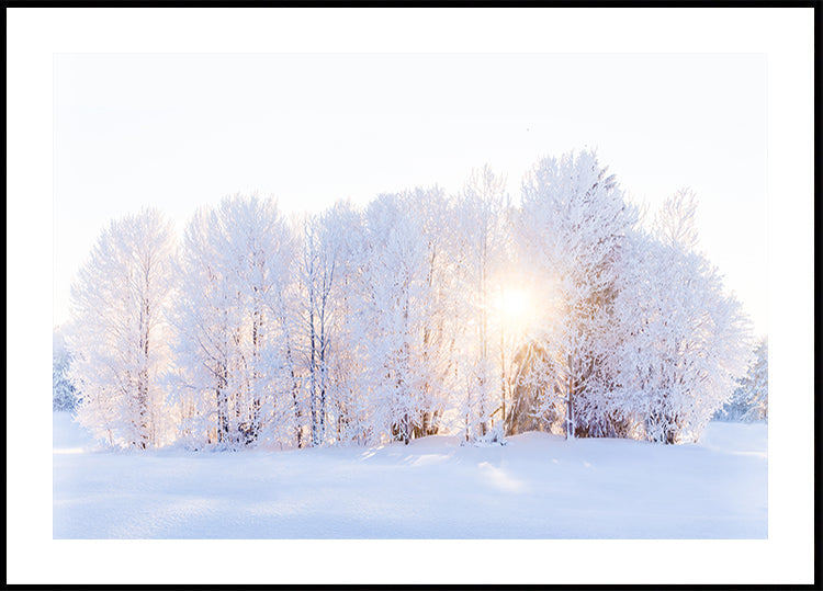 La luz regresa Póster